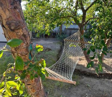 Balkhash House | Cozy Дачный домик на Барковском: Pet Friendly Retreat