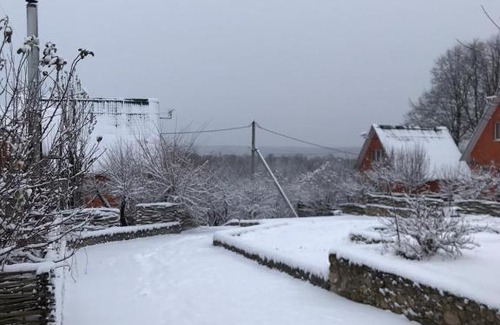 Drakino Resort | Charming Дачный клуб Хуторок на Оке: Pet-Friendly Retreat