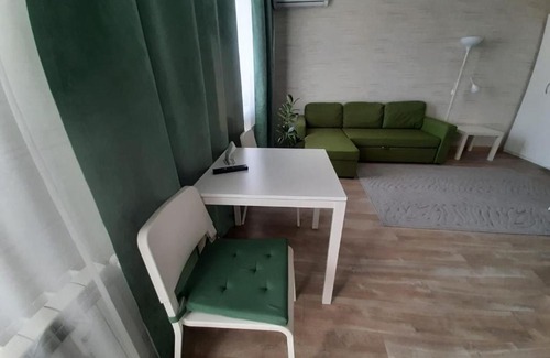 Naberezhnye Chelny Apartment | Pet-Friendly Two-Room Studio with Perfect 10/10 Rating