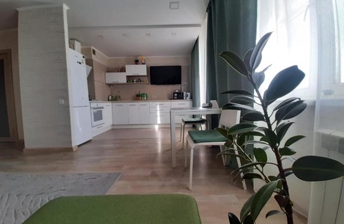 Naberezhnye Chelny Apartment | Pet-Friendly Two-Room Studio with Perfect 10/10 Rating
