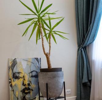 Mykolaiv Apartment | Ideal Two-Room Apartment in the City Center – Pet Friendly