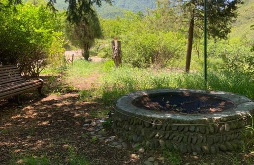 Armenia House | Pet-Friendly Debed: A Delight for Families and Travelers