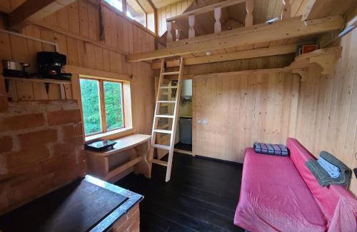 Snidavka House | Discover Дзен Хата: Pet & Child Friendly Getaway