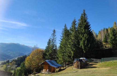 Snidavka House | Discover Дзен Хата: Pet & Child Friendly Getaway