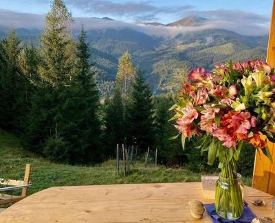 Snidavka House | Discover Дзен Хата: Pet & Child Friendly Getaway