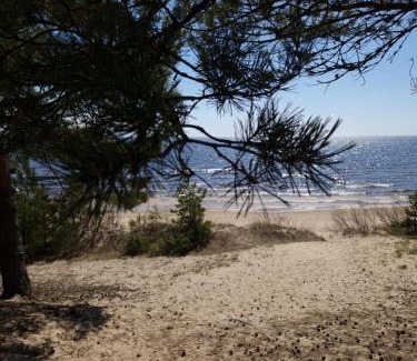 Alutaguse Parish House | Relaxing Retreat with Sauna for Family and Pets