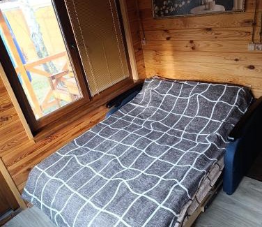 Darnyckyj House | Relax at Bizon Lake - Grill & Terrasa with Pool Access