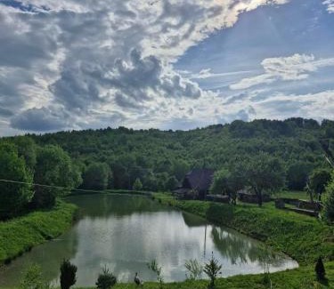 Turya Paseka House | Lakefront Retreat: Pet and Child Friendly Getaway