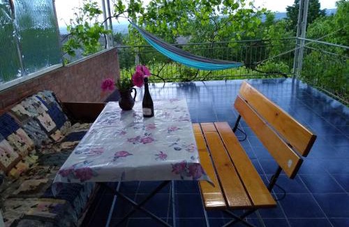 Moldova House | Family-Friendly House in Vadul lui Voda with Breakfast
