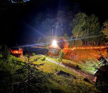 Transcarpathia House | Eco Haven Under the Mountains: 9.5/10 Guest Rated Stay