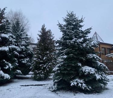 Uman Apartment | Pet & Child-Friendly Elite House in Uman for Your Stay