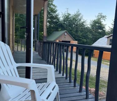 Snidavka House | Discover Заграйка: Family and Pet-Friendly Getaway