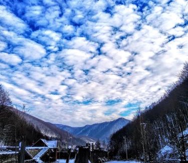 Transcarpathia House | Pet-Friendly Закарпатский Сруб with a 9.8 Guest Rating