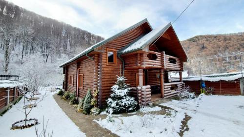 Transcarpathia Villa | Kid-Friendly Retreat at Wow Dacha with a 9/10 Rating