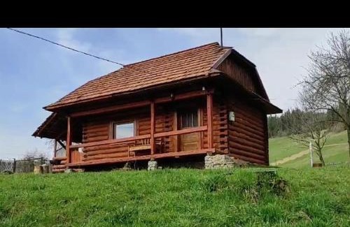 Huklyvyi Apartment | Cozy Cottage: Top-Rated Stay with Pet-Friendly Amenities