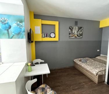 Kosuv Stary Apartment | Cozy Apartments with Pet-Friendly Amenities and Great Ratings
