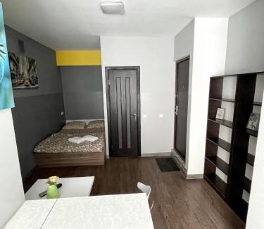 Kosuv Stary Apartment | Cozy Apartments with Pet-Friendly Amenities and Great Ratings
