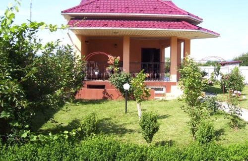 Mukachevo Villa | Discover Злоторія: Family-Friendly Stay with Kitchen Access