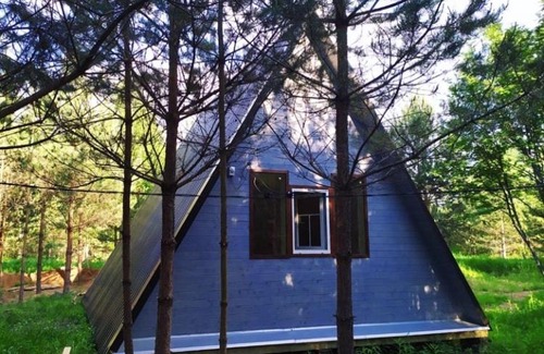 Nerl' House | Enchanting Forest Cabin with Hot Tub & Pet-Friendly Stay