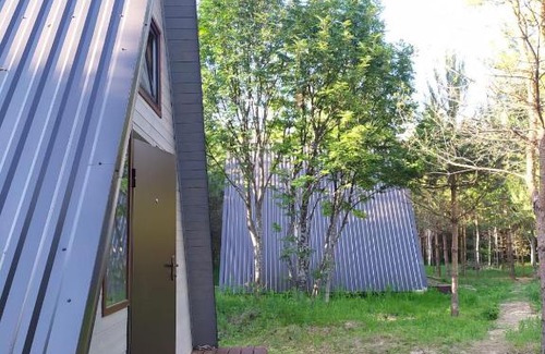 Nerl' House | Enchanting Forest Cabin with Hot Tub & Pet-Friendly Stay