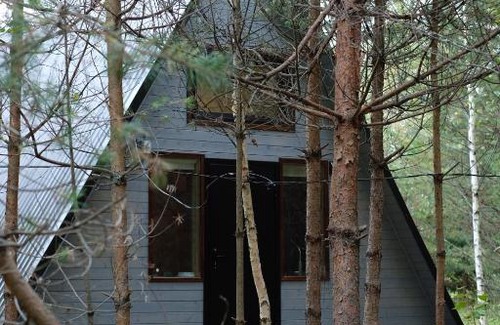 Nerl' House | Enchanting Forest Cabin with Hot Tub & Pet-Friendly Stay