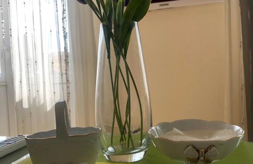 Anapa Apartment | Pet-Friendly Oceanfront Retreat in Anapa -Rated 9/10