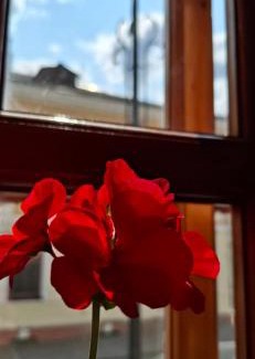 Kamenets-Podol'skiy Apartment | Charming Apartment in Old Town with Separate Entrance