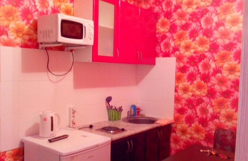 Orenburg Apartment | Convenient Stay 10 Minutes from Eye Microsurgery Center