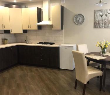 Stryi Apartment | Ideal Center Apartment in Striy - Rated 9.6/10
