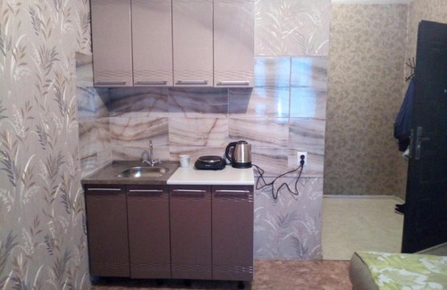 Orenburg Apartment | Cozy Studio Apartment on Polyanychko Street with Accessibility