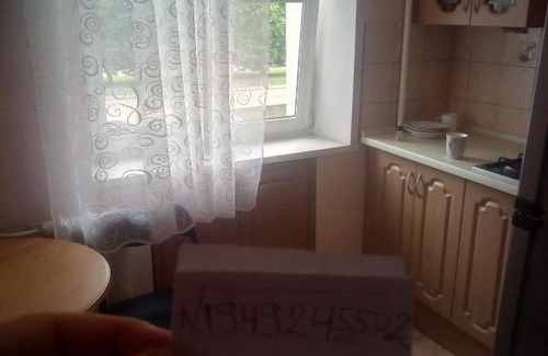 Kaliningrad Apartment | Cozy Apartment Near Plaza with Pet-Friendly Perks