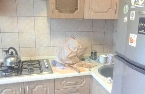 Kaliningrad Apartment | Cozy Apartment Near Plaza with Pet-Friendly Perks