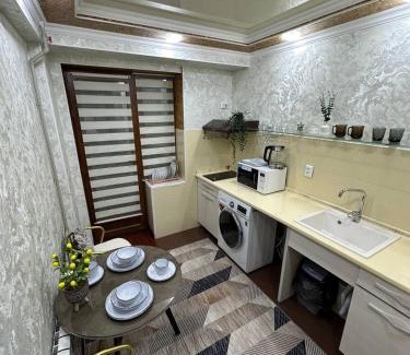 Shymkent Apartment | Pet-Friendly Apartments in Shymkent, Kazakhstan