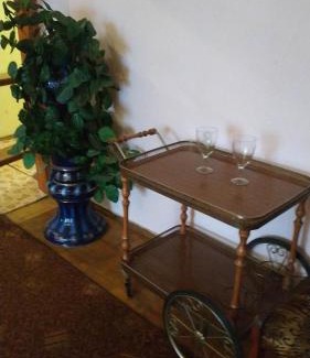 Kharkiv Oblast Apartment | Convenient Apartments for Family and Pet-Friendly Stays