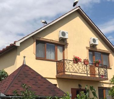 Holubyne House | Budget-Friendly Квітковий двір: Top-Rated with Breakfast & Hot Tub
