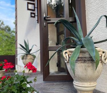 Solotvyno House | Experience Unforgettable Stays at Комплекс СільДар