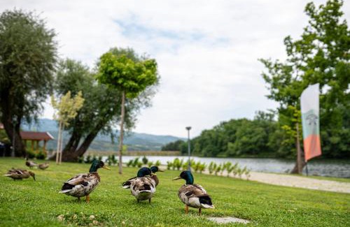 Kolarovo Other | Pet-Friendly Escape at Komplex Yazovir Valtata Resort