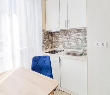 Petrovskoye Apartment | Top-Rated Studio Near South Train Station for Your Stay