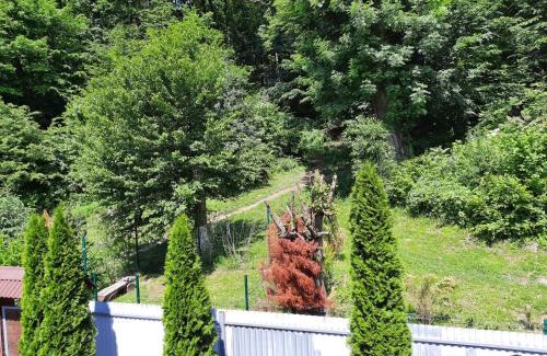 Karpaty Cabin | Cozy Hotel with Pool and Pet-Friendly Amenities