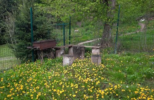 Karpaty Cabin | Cozy Hotel with Pool and Pet-Friendly Amenities