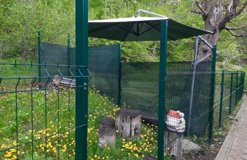 Karpaty Cabin | Cozy Hotel with Pool and Pet-Friendly Amenities