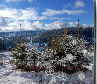 Palyanytsya House | Family-Friendly Holiday Homes in Bukovel, Ukraine