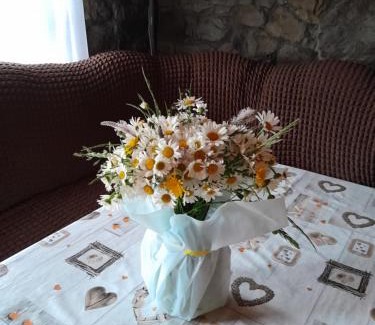 Palyanytsya Cabin | Experience Cozy Comfort at Котеджі "У Яни" - 9/10 Rated!