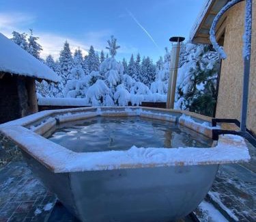 Myslivka House | Pet-Friendly Holiday Homes with Oceanfront Views in Bubnyshche