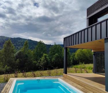 Lviv Oblast Ski Chalet | Котедж Загора