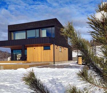 Lviv Oblast Ski Chalet | Котедж Загора