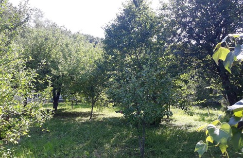 Serednye Cabin | Relax at Котедж "Лісовий затишок" with Hot Tub & Breakfast
