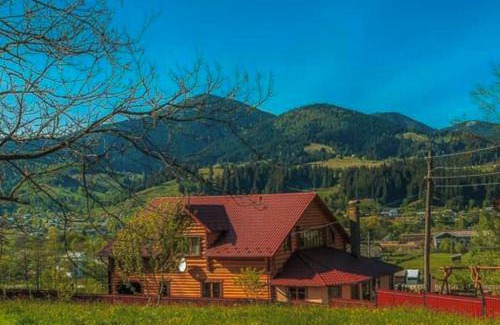 Snidavka House | Discover Cozy Котедж у Федуся with Pool & Pet-Friendly Perks