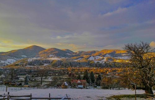Snidavka House | Discover Cozy Котедж у Федуся with Pool & Pet-Friendly Perks