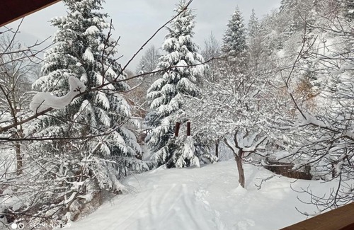 Verkhovyna Villa | Discover Котедж Чорнобривець: 10/10 for Family & Pets